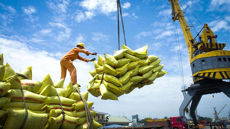 Thủ tướng chỉ đạo tăng cường các giải pháp thúc đẩy sản xuất, xuất khẩu gạo 